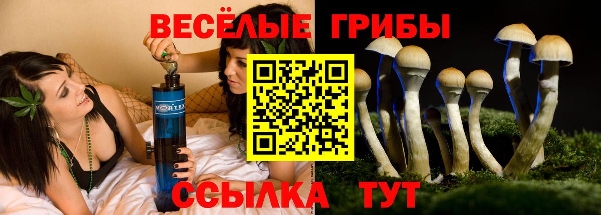 Шуя  Псилоцибиновые грибы мицелий  Вход с VPN 